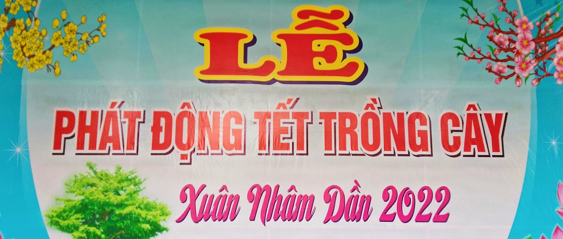 TRƯỜNG THPT NGUYỄN TẤT THÀNH - M'DRĂK NÔ NỨC HƯỞNG ỨNG LỄ PHÁT ĐỘNG "TẾT TRỒNG CÂY" XUÂN NHÂM DẦN 2022